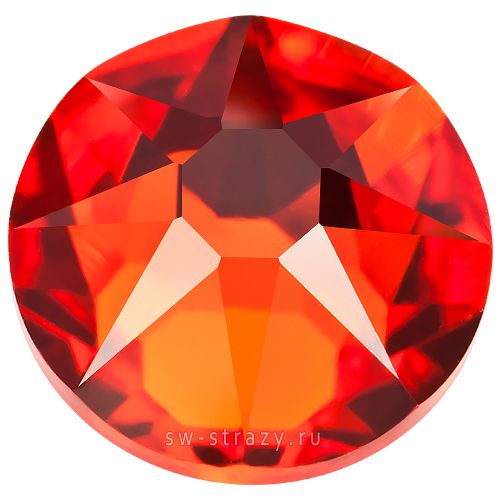 2088 ss 20 Hyacinth F